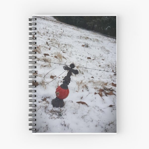 Item preview.