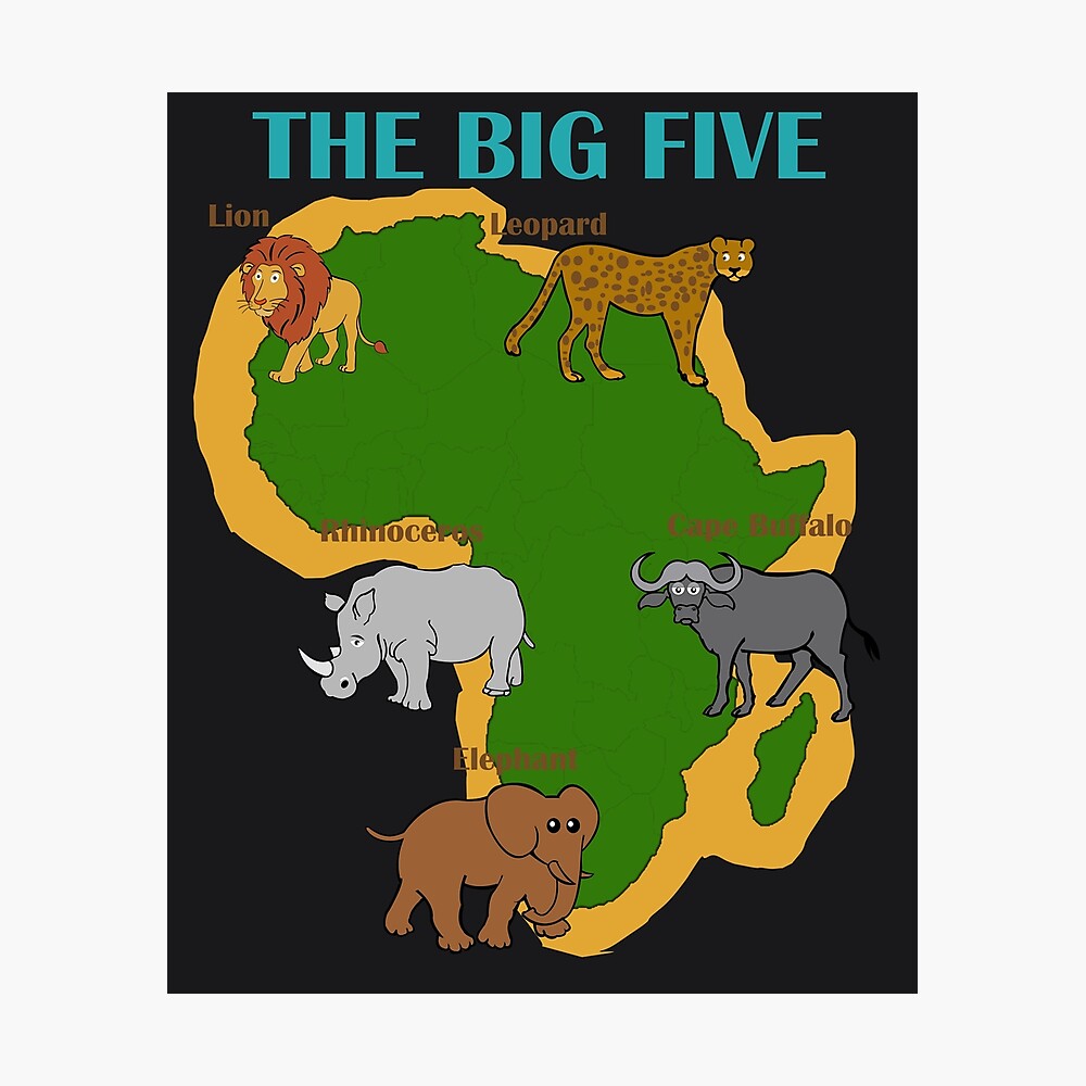Africa The Big Five Animals Design | Kids Toddler BIG 5