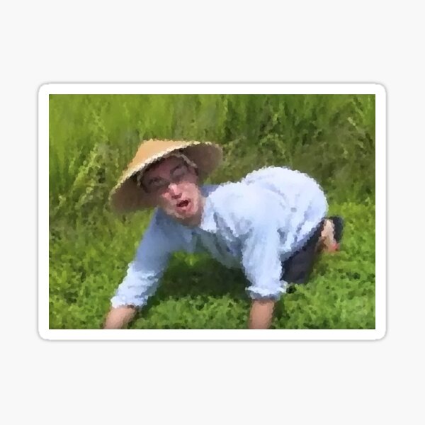 welcome to the rice fields