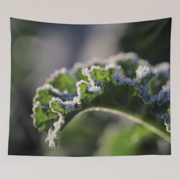 Item preview, It's Freezing 'Cole' designed and sold by cuprum.