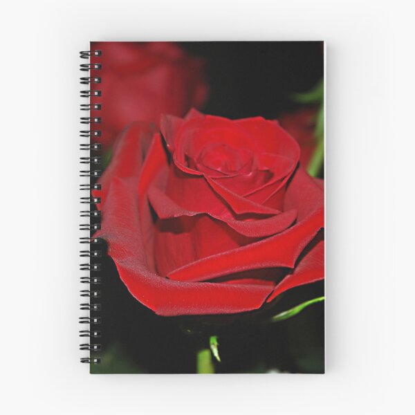 Item preview, Devotion designed and sold by Holly Werner.