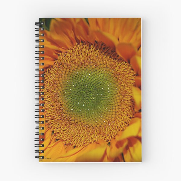 Item preview, Patterns of Life designed and sold by Holly Werner.