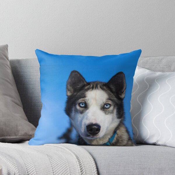 Item preview, Husky Sled Dog, Alaska designed and sold by AlaskaExtreme.