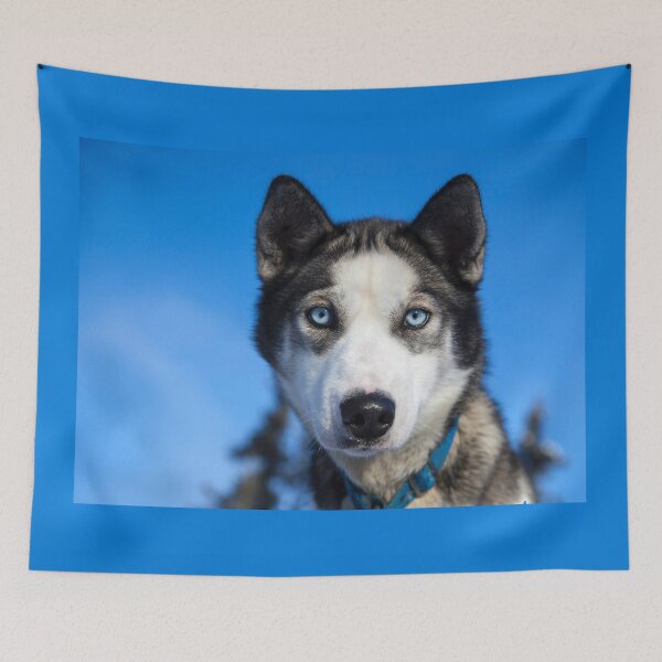 Item preview, Husky Sled Dog, Alaska designed and sold by AlaskaExtreme.