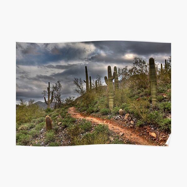 The Road Ahead Poster