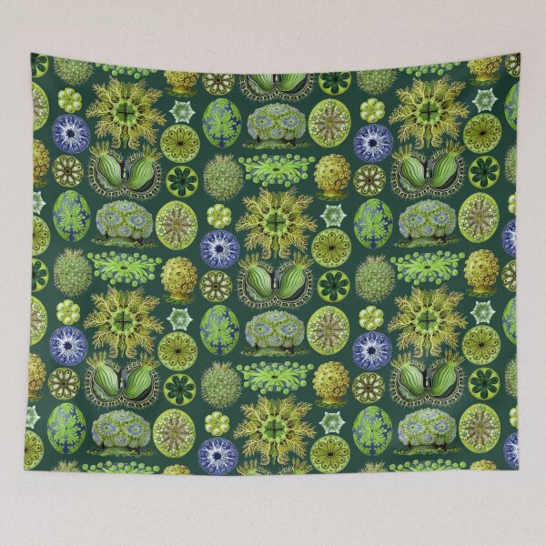 Item preview, Ernst Haeckel Ascidiae Sea Squirts Green designed and sold by aimeewilson.