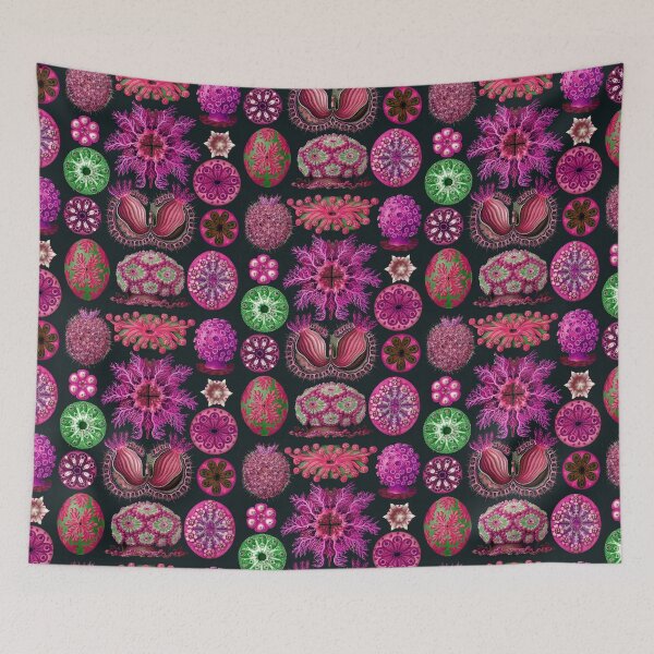Item preview, Ernst Haeckel Ascidiae Sea Squirts Magenta designed and sold by aimeewilson.