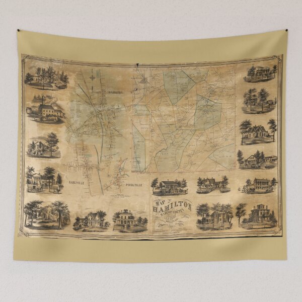 Item preview, Map of Hamilton, Madison County, New York (1858) designed and sold by allhistory.