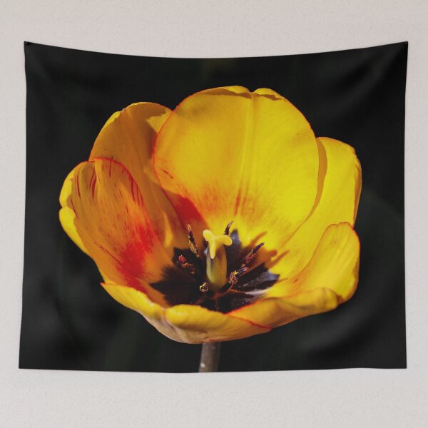 Item preview, Stunning Argo Tulip designed and sold by greenhumbirdcre.