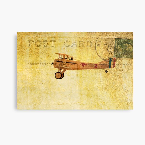 Vintage Flight Metal Print