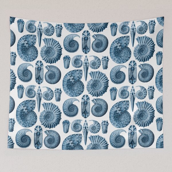 Item preview, Ernst Haeckel Ammonite Blue designed and sold by aimeewilson.