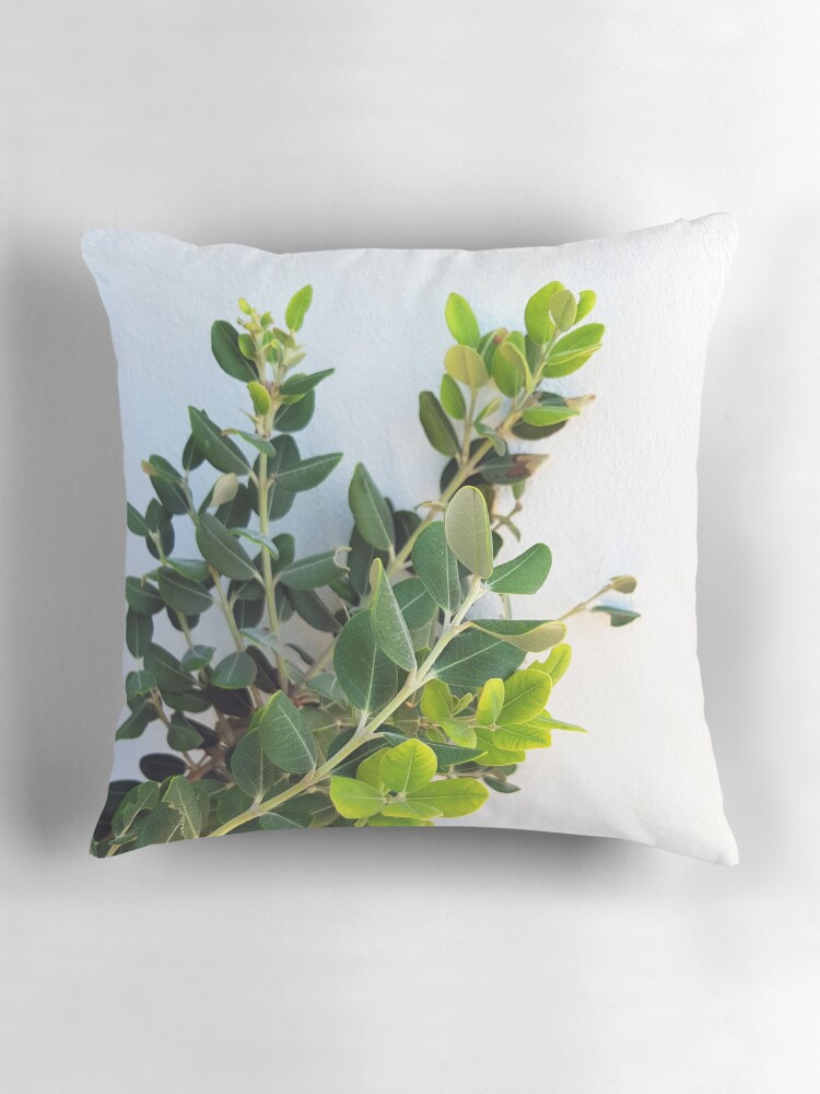 Colours of Crete Green leaves on a neutral background