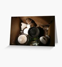 Box of Curios Greeting Card
