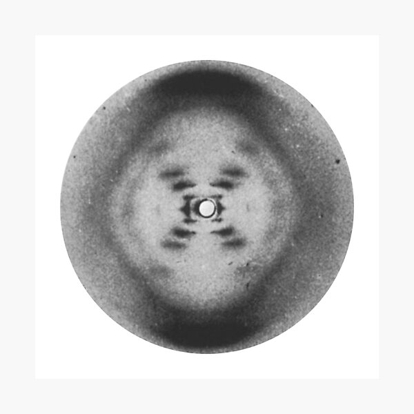 DNA Photographic Print