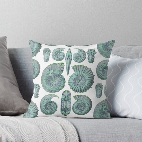 Item preview, Ernst Haeckel Ammonitida Ammonite Sea Glass designed and sold by aimeewilson.