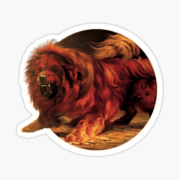 Tibetan Mastiff Tibetan Mastiff