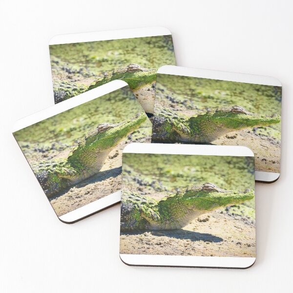 Item preview, Warmth designed and sold by YelloCoyote Photography.