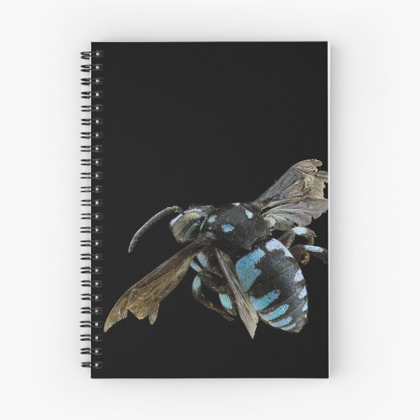 Item preview, Cuckoo Bee designed and sold by BiosecurityColl.