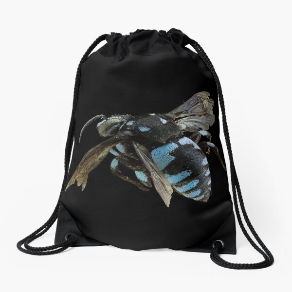 Item preview, Cuckoo Bee designed and sold by BiosecurityColl.
