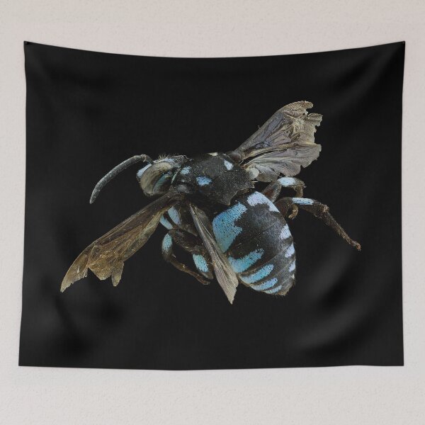 Item preview, Cuckoo Bee designed and sold by BiosecurityColl.