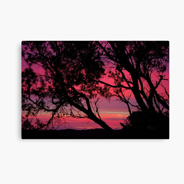 After the Rain Canvas Print