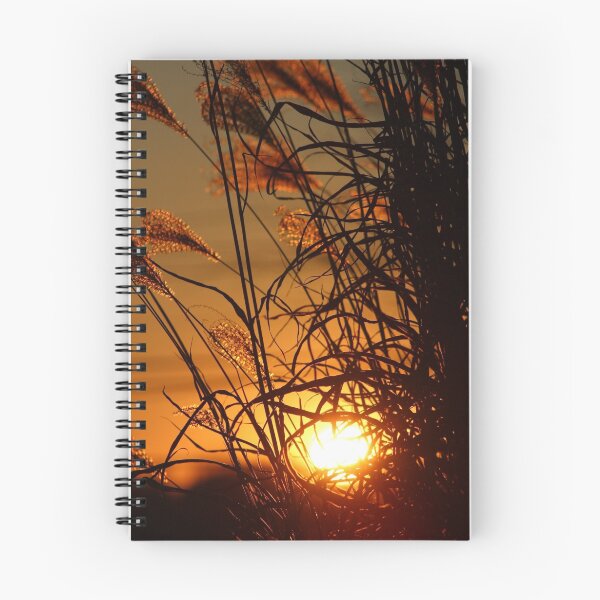 Item preview, Winter Sunset in the Ornamental Grass designed and sold by Gilda Axelrod.