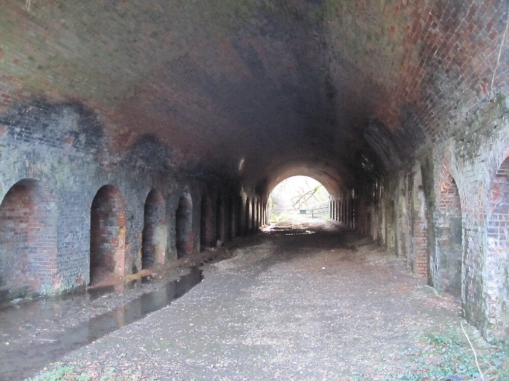 argos kids tunnel