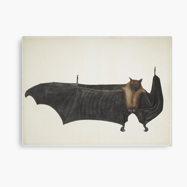 Mega Bat Gifts Merchandise Redbubble - crimson bat wings roblox