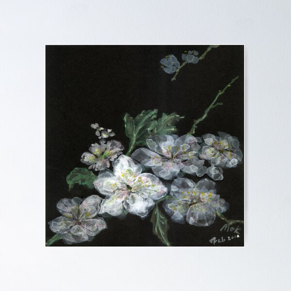 White Cherry Blossoms 02 Poster