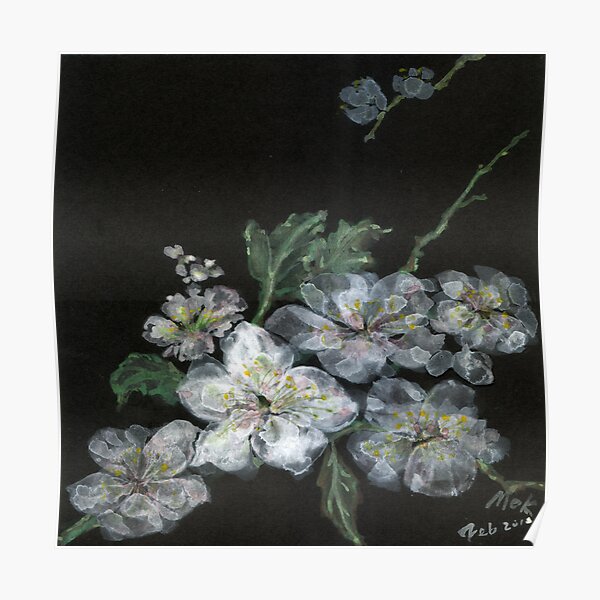 White Cherry Blossoms 02 Poster