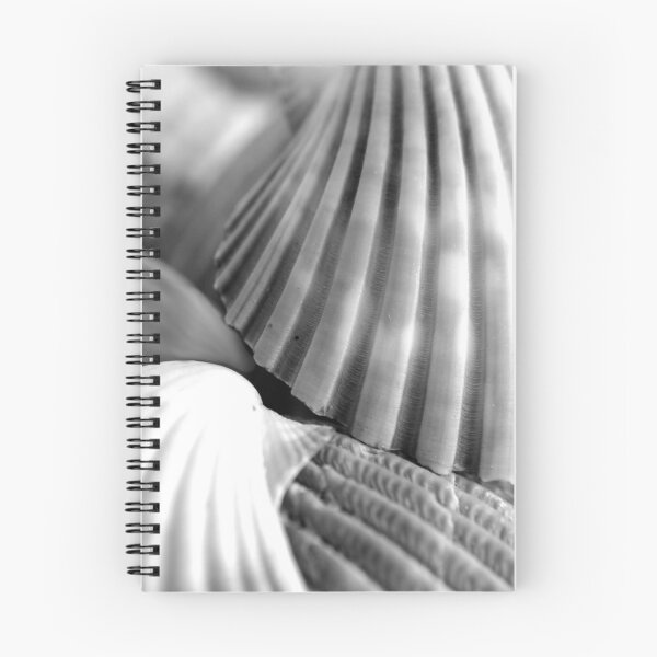 Item preview, Sea Shells I B & W designed and sold by Kathie Nichols.