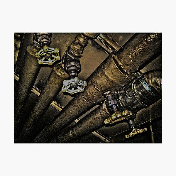 Dive! Dive! Dive! Photographic Print
