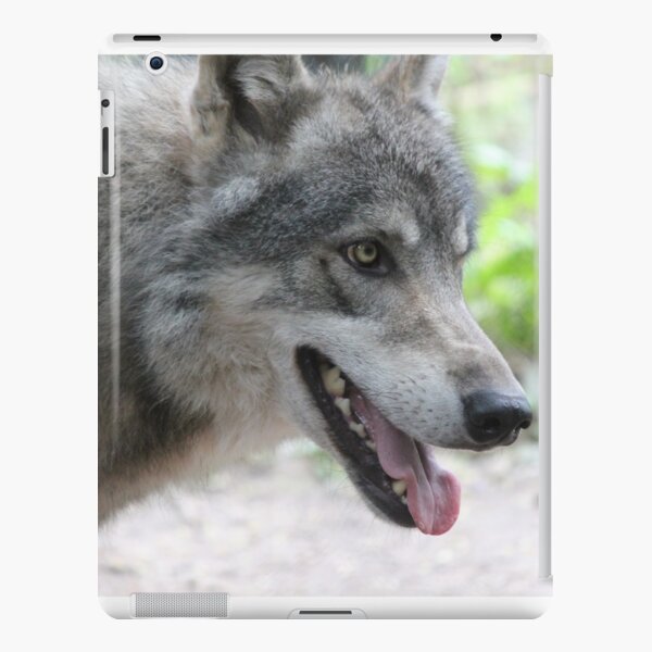 Grey Wolf iPad Snap Case