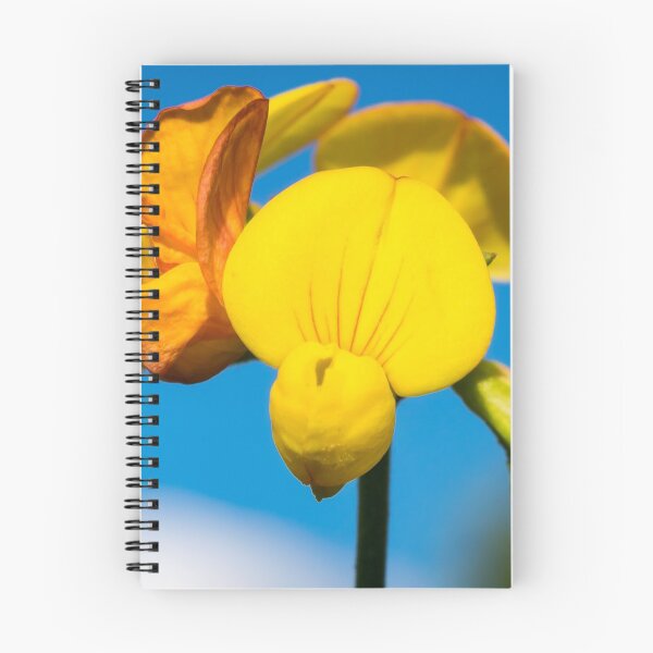 Aperçu de l'œuvre Fleur jaune contre un ciel bleu créée et vendue par Lowtech.