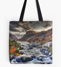 The Gap- kerry Tote Bag