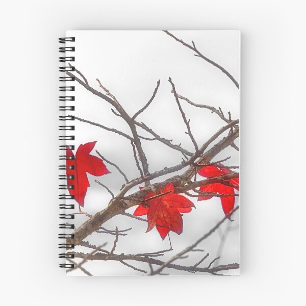 Item preview, OTOÑO ROJO designed and sold by Bev Woodman.