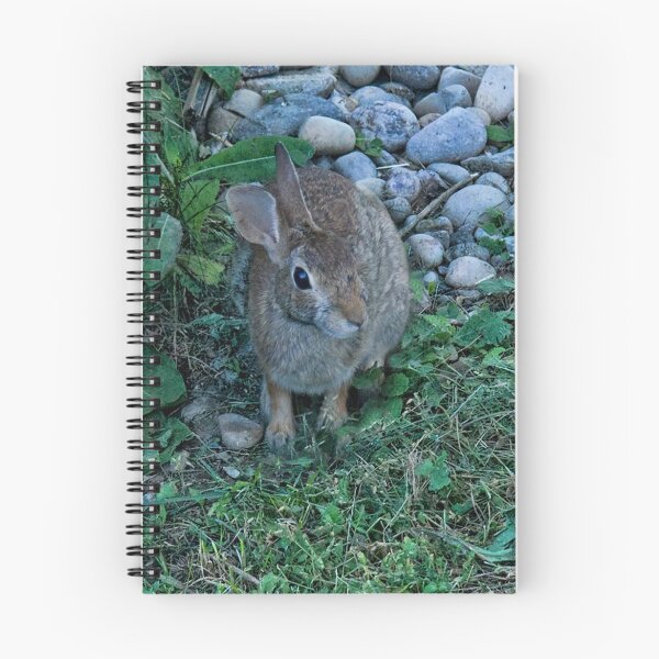 Item preview, WILD RABBIT CAME VISITING..PILLOW,TOTE BAG,CARD,PICTURE,ECT.. designed and sold by ✿✿ Bonita ✿✿ ђєℓℓσ.