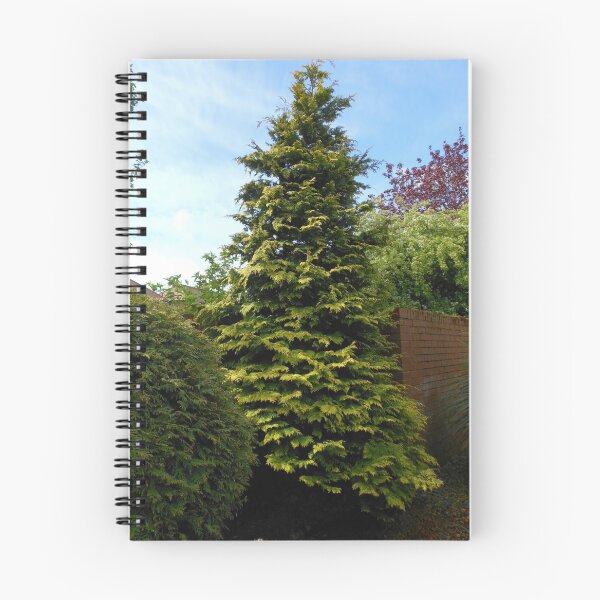 Item preview, Conifer Tree designed and sold by BlueMoonRose.