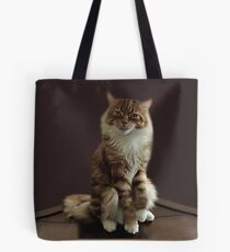 HUMOROUS CAT PICTURE ..WHAT DO U MEAN I HAVE ATTITUDE? -- PILLOWS--TOTE BAGS--ECT. Tote Bag
