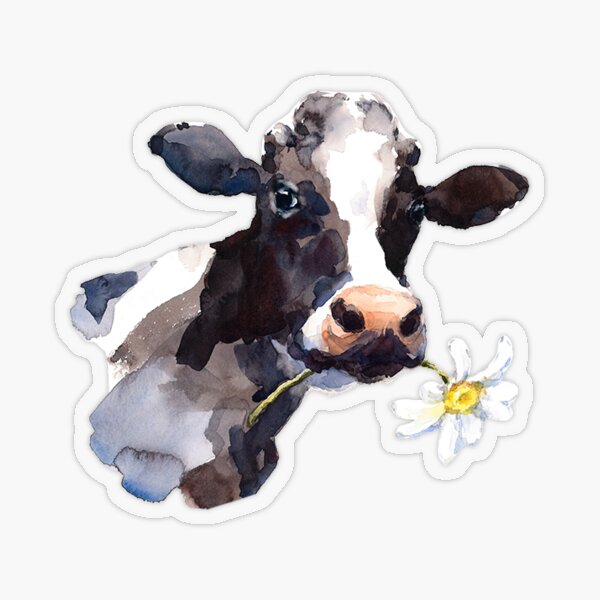 "Cow with Daisy" Sticker by juliachesnut Redbubble