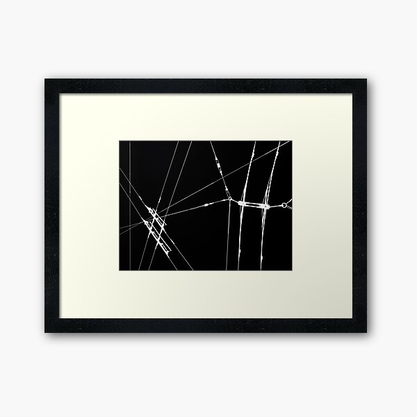 Connections Framed Art Print