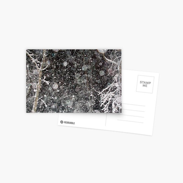 Oh Snow! Postcard
