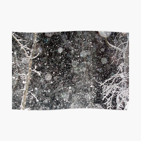 Oh Snow! Poster