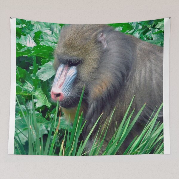 Item preview, Mandrill designed and sold by MGphotoart.