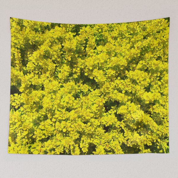 Item preview, Yellow flowering Shrubs Golden Template Woadwaxen designed and sold by allhistory.