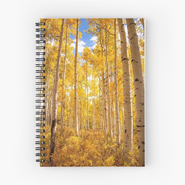Item preview, Lost In The Aspens designed and sold by Josh Allegretti.