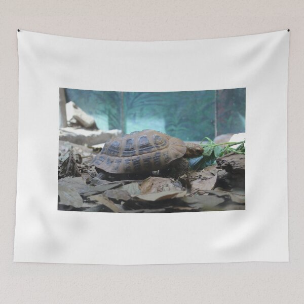 Item preview, Tiny Tortoise designed and sold by Grumble-Bee.
