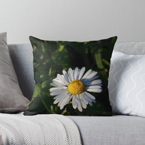 Throw Pillow