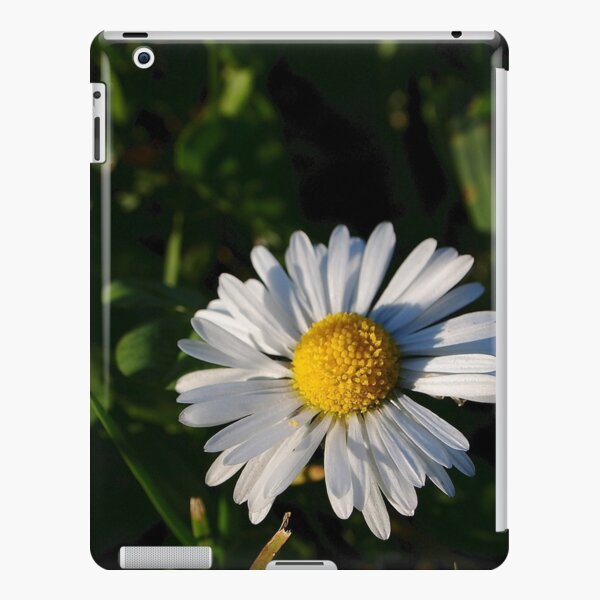 iPad Retina/3/2 - Snap