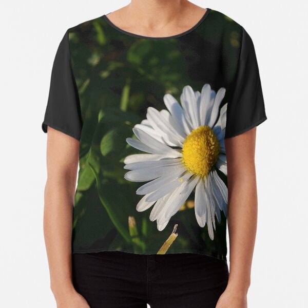 Chiffon Top